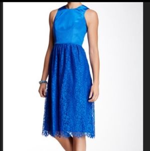 Shoshanna midi blue lace dress NWT